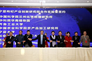 寧夏中寧枸杞產(chǎn)業(yè)創(chuàng)新研究院項(xiàng)目發(fā)布簽約暨學(xué)術(shù)交流會成功舉辦，工商事務(wù)代理助力產(chǎn)業(yè)發(fā)展