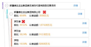 新疆康達實業集團康藝商標代理有限責任事務所 專業工商事務代理服務